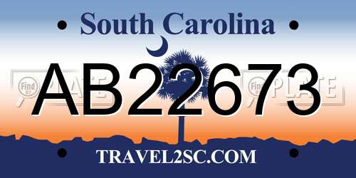 AB22673 South Carolina License Plate