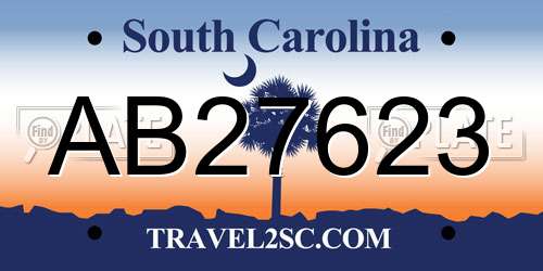 AB27623 South Carolina License Plate