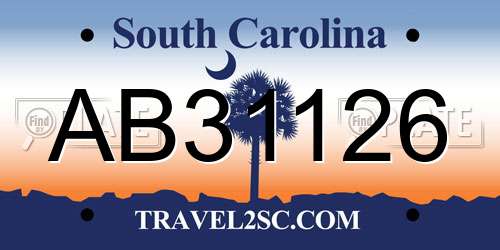 AB31126 South Carolina License Plate