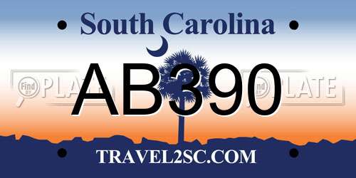 AB390 South Carolina License Plate