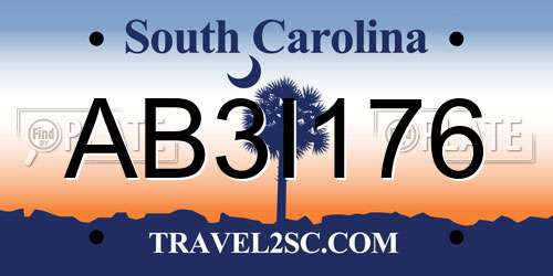 AB3I176 South Carolina License Plate