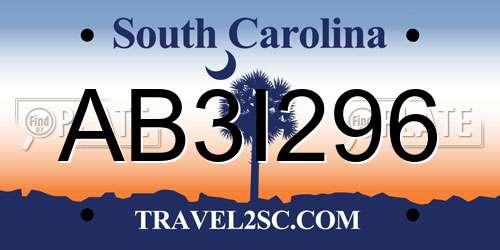 AB3I296 South Carolina License Plate