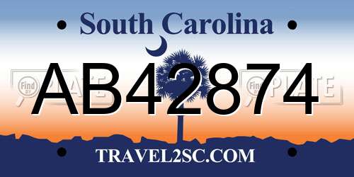 AB42874 South Carolina License Plate