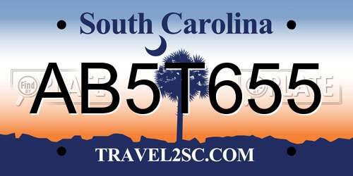 AB5T655 South Carolina License Plate