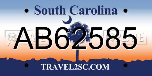 AB62585 South Carolina License Plate