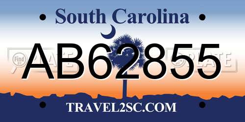 AB62855 South Carolina License Plate