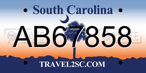 AB67858 South Carolina License Plate