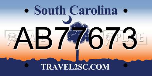 AB77673 South Carolina License Plate