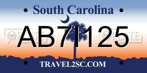 AB7I125 South Carolina License Plate