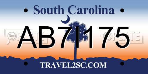AB7I175 South Carolina License Plate