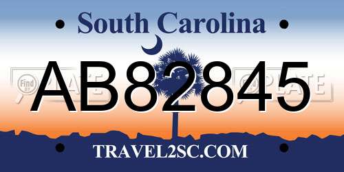 AB82845 South Carolina License Plate