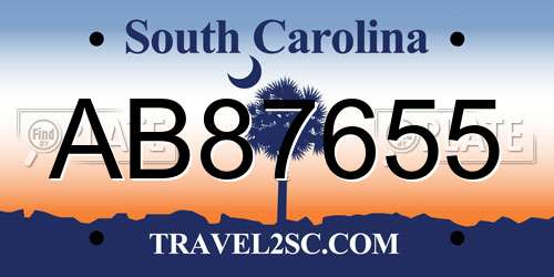 AB87655 South Carolina License Plate