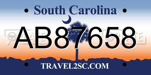 AB87658 South Carolina License Plate