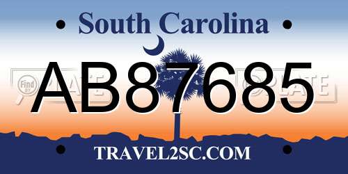 AB87685 South Carolina License Plate