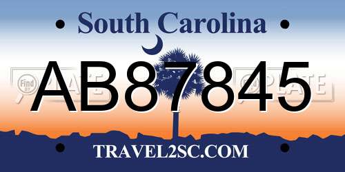 AB87845 South Carolina License Plate