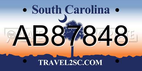 AB87848 South Carolina License Plate