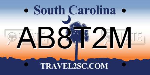 AB8T2M South Carolina License Plate
