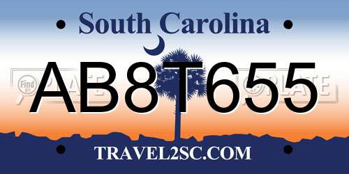 AB8T655 South Carolina License Plate