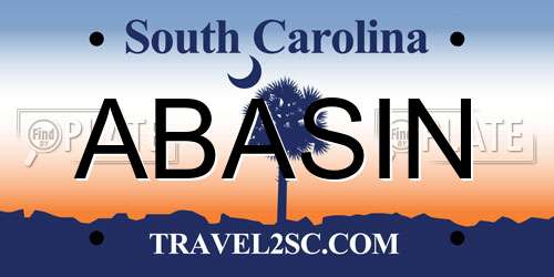ABASIN South Carolina License Plate