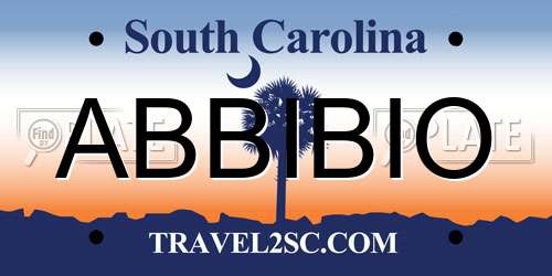 ABBIBIO South Carolina License Plate
