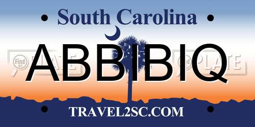 ABBIBIQ South Carolina License Plate