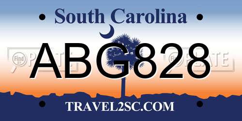 ABG828 South Carolina License Plate