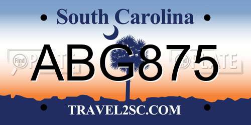 ABG875 South Carolina License Plate