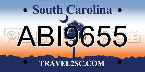 ABI9655 South Carolina License Plate