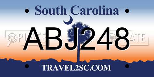 ABJ248 South Carolina License Plate