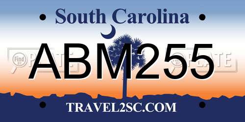 ABM255 South Carolina License Plate