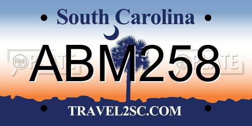 ABM258 South Carolina License Plate