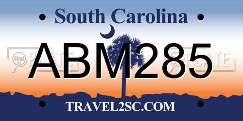 ABM285 South Carolina License Plate