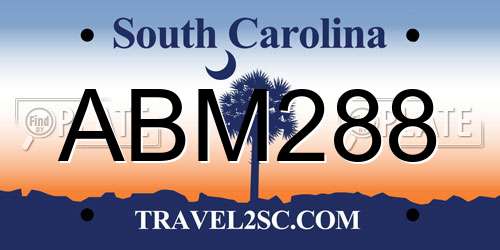 ABM288 South Carolina License Plate