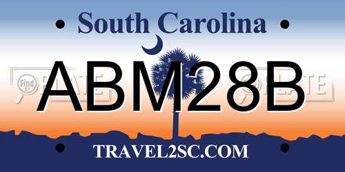 ABM28B South Carolina License Plate