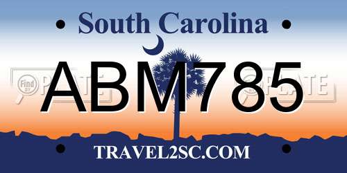 ABM785 South Carolina License Plate