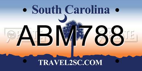 ABM788 South Carolina License Plate