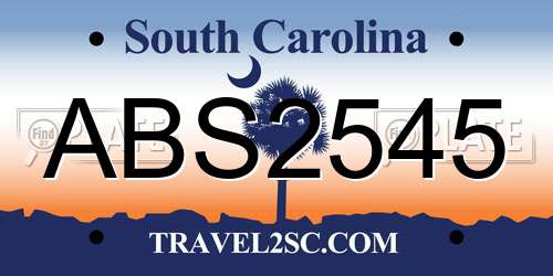 ABS2545 South Carolina License Plate