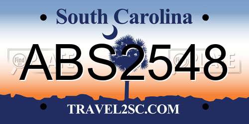 ABS2548 South Carolina License Plate