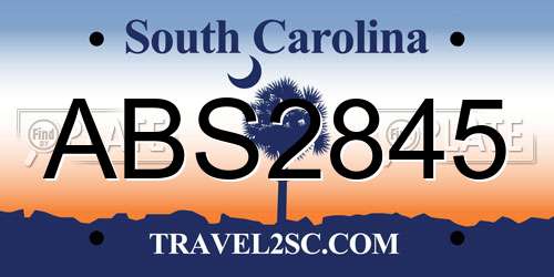 ABS2845 South Carolina License Plate