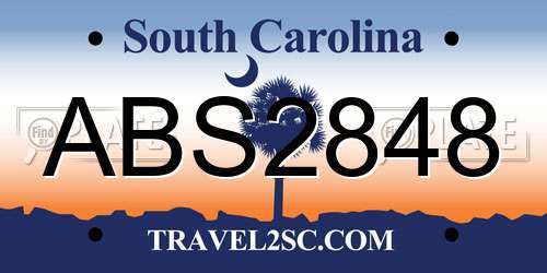 ABS2848 South Carolina License Plate