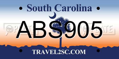 ABS905 South Carolina License Plate