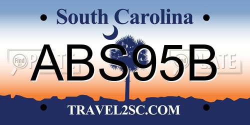 ABS95B South Carolina License Plate