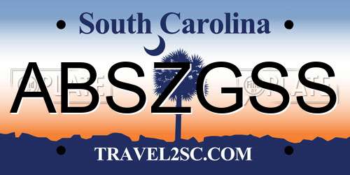 ABSZGSS South Carolina License Plate