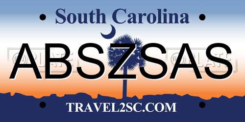 ABSZSAS South Carolina License Plate