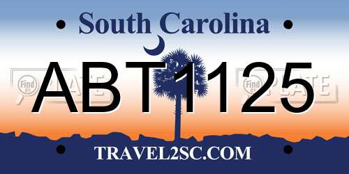 ABT1125 South Carolina License Plate