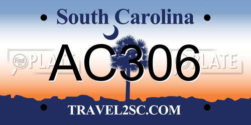 AC306 South Carolina License Plate