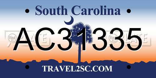 AC31335 South Carolina License Plate