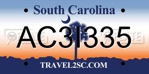 AC3I335 South Carolina License Plate