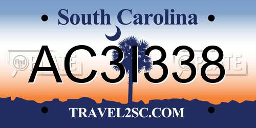 AC3I338 South Carolina License Plate