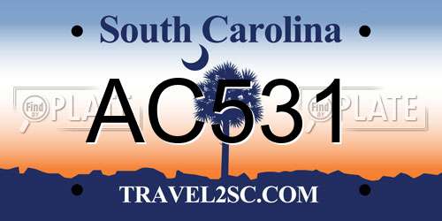 AC531 South Carolina License Plate